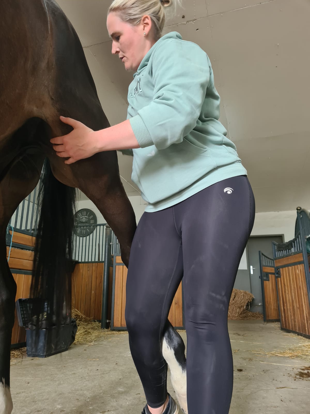 Manuelle Therapie bei Sportpferd durch Tamara Rusitzka