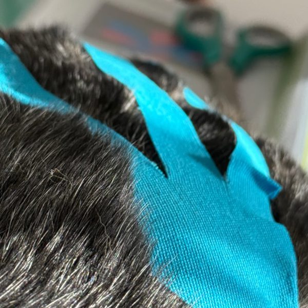 C725E887-0801-4785-BB45-63AFAF9BB6B9